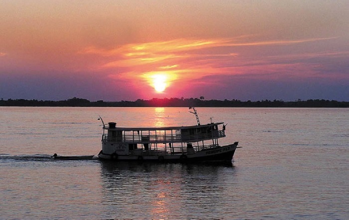 Песни драконов. Любовь и приключения в мире крокодилов и прочих динозавровых родственников