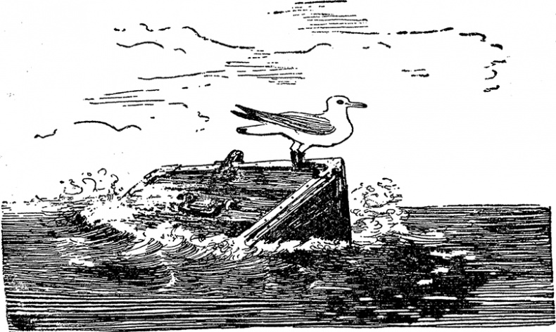 Город и лес у моря Город и лес у моря