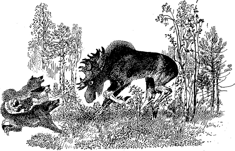 Город и лес у моря Город и лес у моря