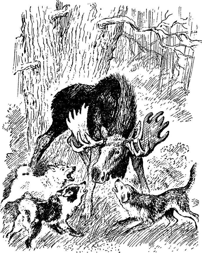 Город и лес у моря Город и лес у моря