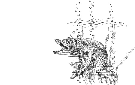 Долгая дорога домой