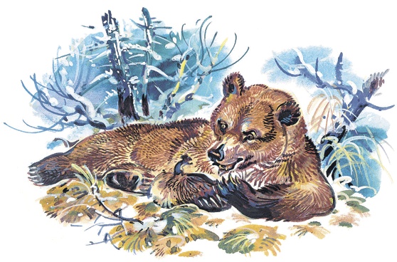 Лесные сказки Лесные сказки