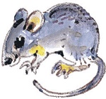 Лесные сказки Лесные сказки