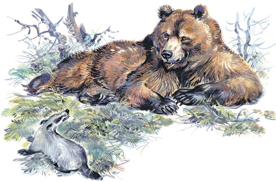 Лесные сказки Лесные сказки