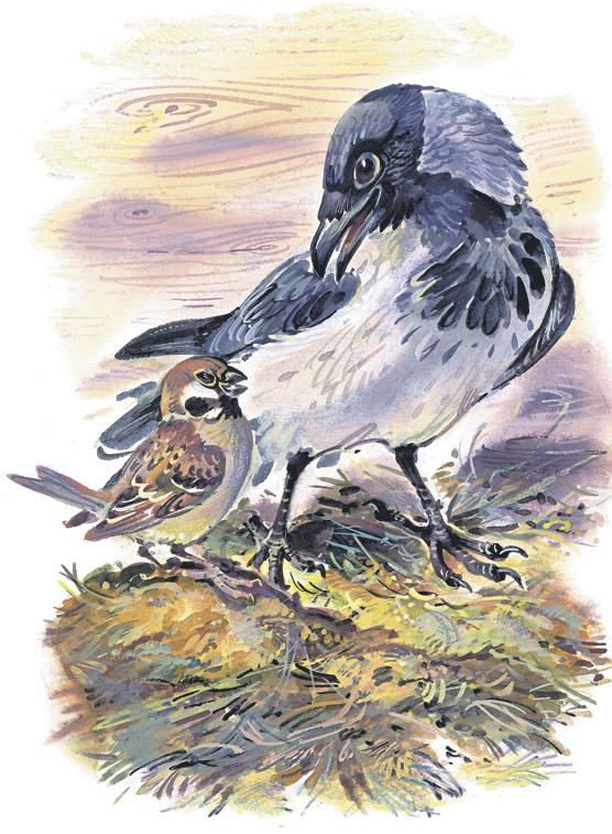 Лесные сказки Лесные сказки