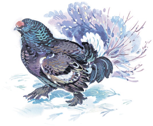 Лесные сказки Лесные сказки