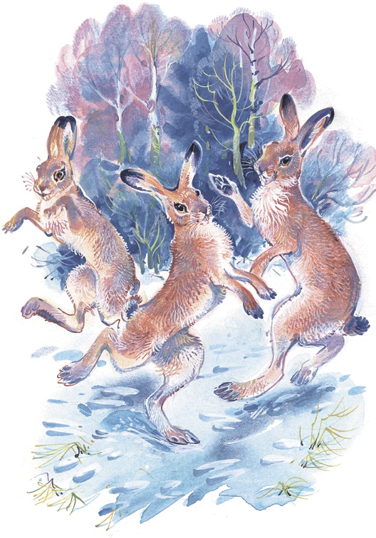 Лесные сказки Лесные сказки