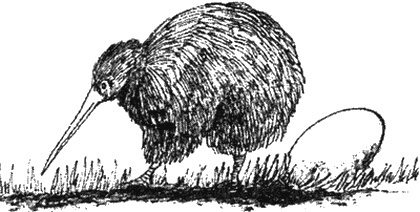 Почему панда стоит на голове и другие удивительные истории о животных