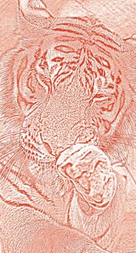 Полосатая кошка, пятнистая кошка