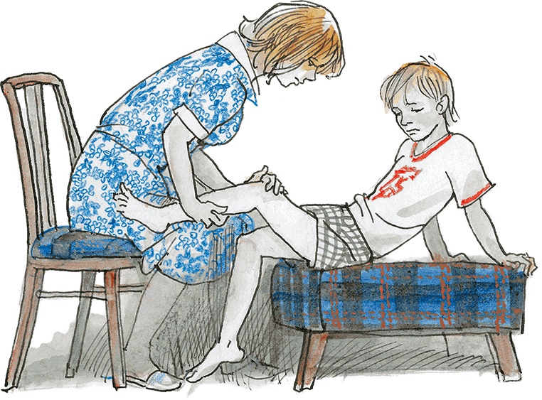 «Стрижи» на льду «Стрижи» на льду