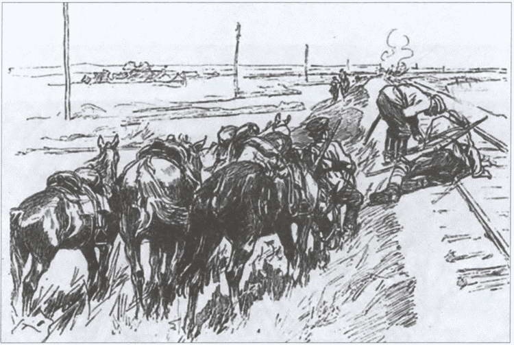 Донское казачество в войнах начала XX века Донское казачество в войнах начала XX века