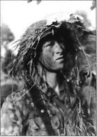 10-я танковая дивизия СС "Фрундсберг"