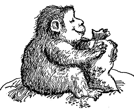 Татуированный пес Татуированный пес