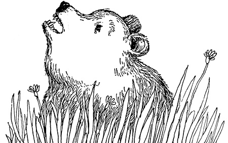 Татуированный пес Татуированный пес