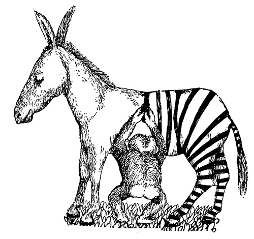 Татуированный пес Татуированный пес