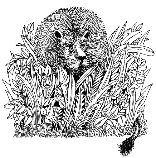 Татуированный пес Татуированный пес