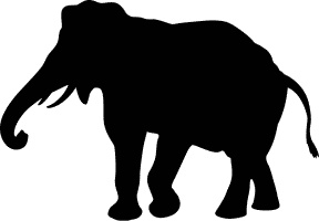 Сюрпризы и опасности Сюрпризы и опасности