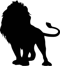 Сюрпризы и опасности Сюрпризы и опасности