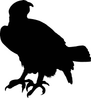 Сюрпризы и опасности Сюрпризы и опасности