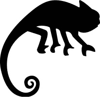 Сюрпризы и опасности Сюрпризы и опасности