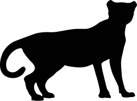 Сюрпризы и опасности Сюрпризы и опасности