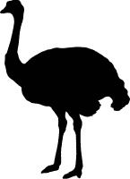 Сюрпризы и опасности Сюрпризы и опасности