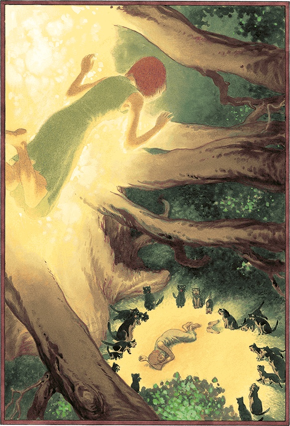 Кошки Дремучего леса Кошки Дремучего леса