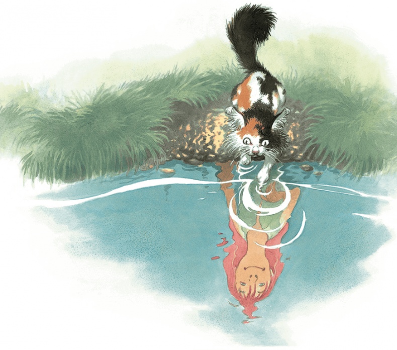 Кошки Дремучего леса Кошки Дремучего леса