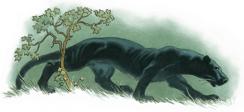 Кошки Дремучего леса Кошки Дремучего леса