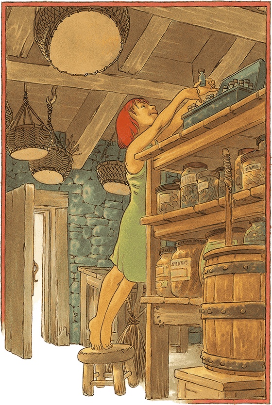 Кошки Дремучего леса Кошки Дремучего леса