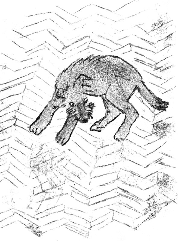 Былое и думы собаки Диты Былое и думы собаки Диты