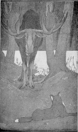 Белый Клык. Зов предков Белый Клык. Зов предков