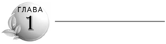 Очищение кишечника Очищение кишечника