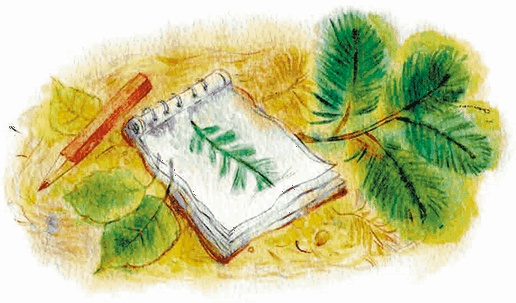 Таня, Выдра и компания Таня, Выдра и компания