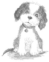 Щенок Тимми, или Я иду искать! Щенок Тимми, или Я иду искать!