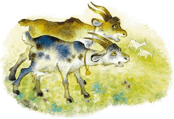 Мы и большущее озеро Мы и большущее озеро