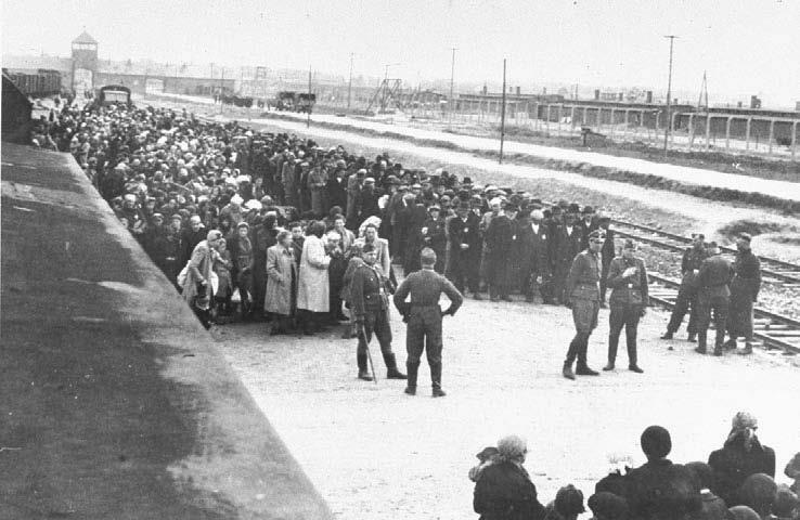 Свитки из пепла Свитки из пепла