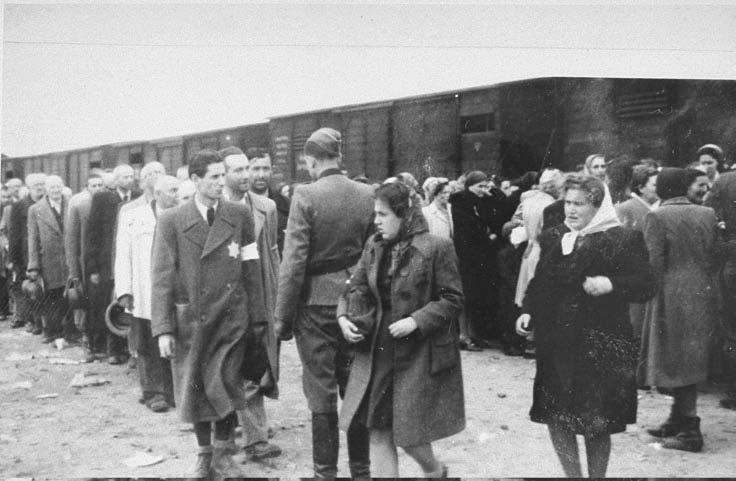 Свитки из пепла Свитки из пепла