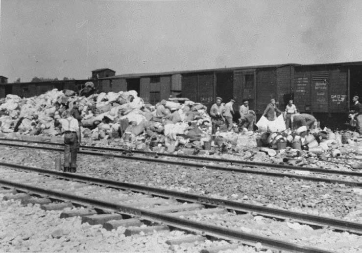 Свитки из пепла Свитки из пепла