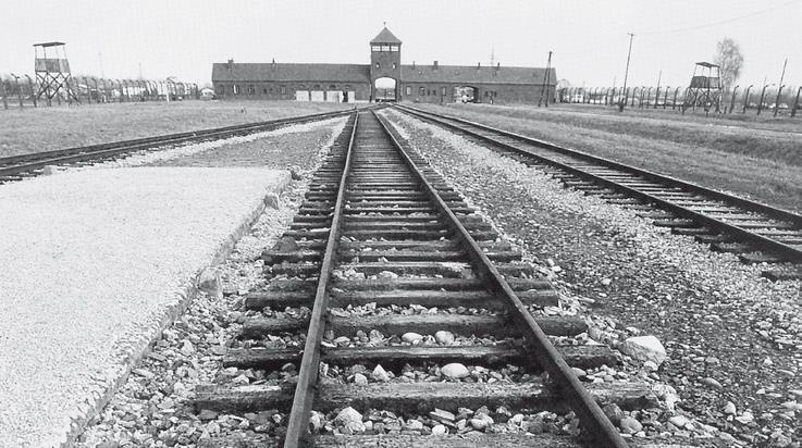 Свитки из пепла Свитки из пепла