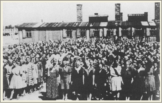 Свитки из пепла Свитки из пепла