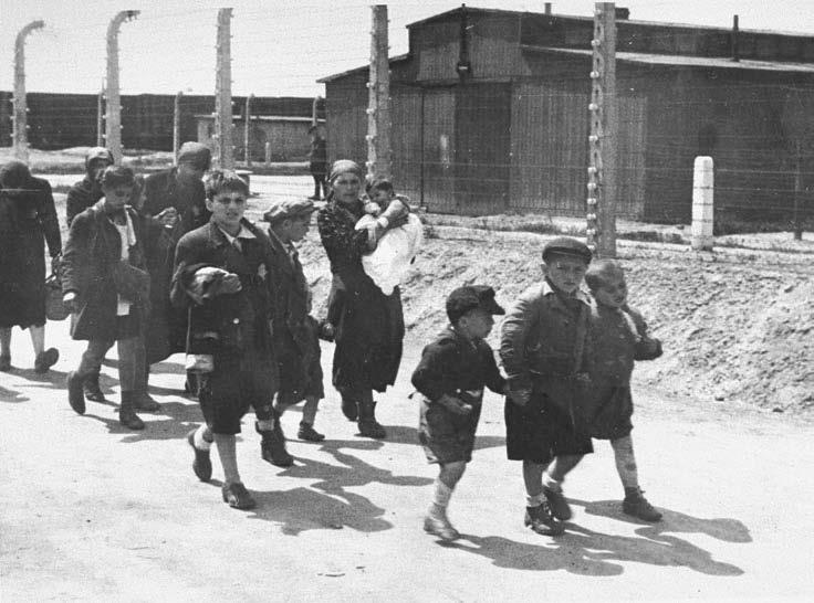 Свитки из пепла Свитки из пепла