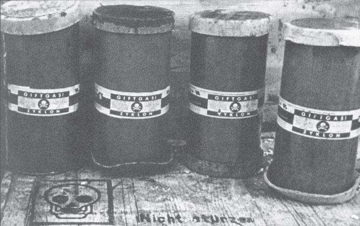 Свитки из пепла Свитки из пепла