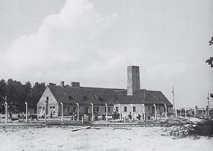 Свитки из пепла Свитки из пепла