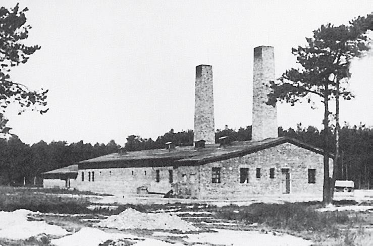 Свитки из пепла Свитки из пепла