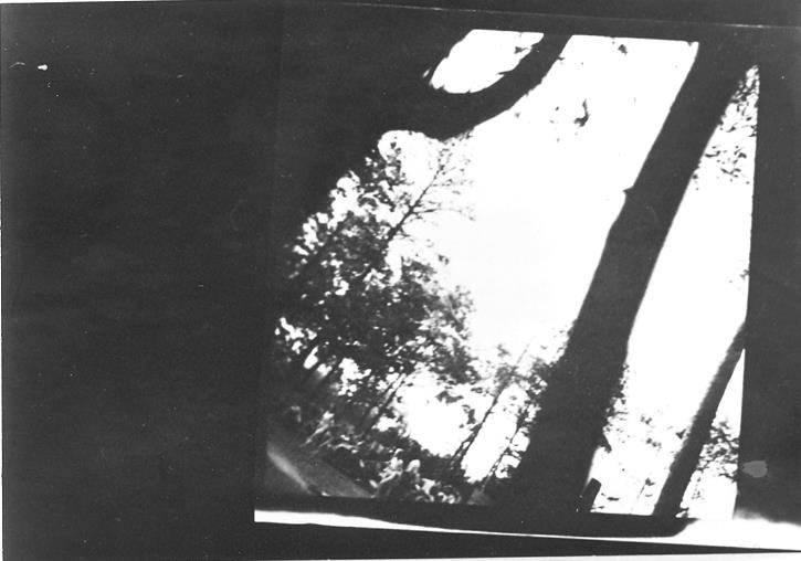 Свитки из пепла Свитки из пепла