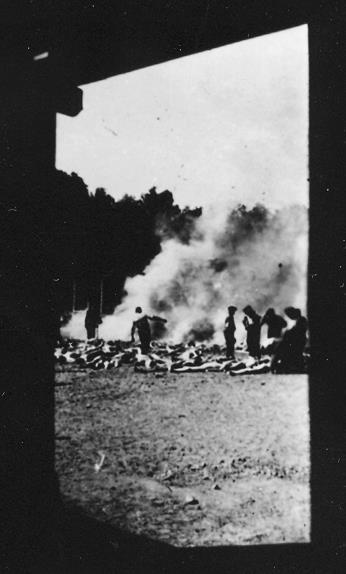 Свитки из пепла Свитки из пепла