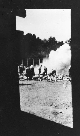 Свитки из пепла Свитки из пепла