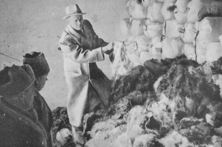 Свитки из пепла Свитки из пепла