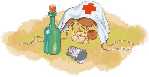 Мальчик с пальчик и добрая мачеха Мальчик с пальчик и добрая мачеха